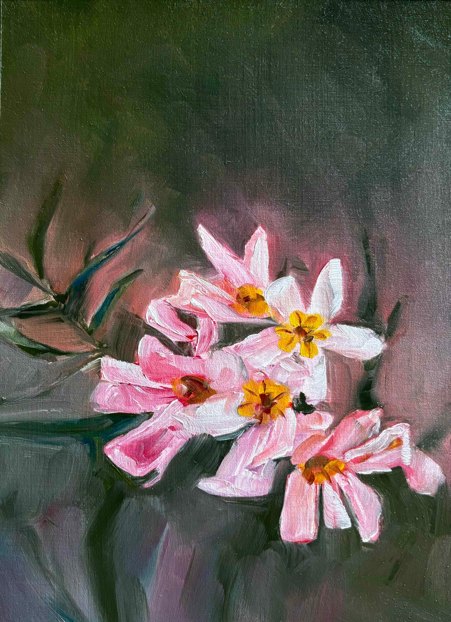 Day 8 - Daily Painting Challenge - Oleander