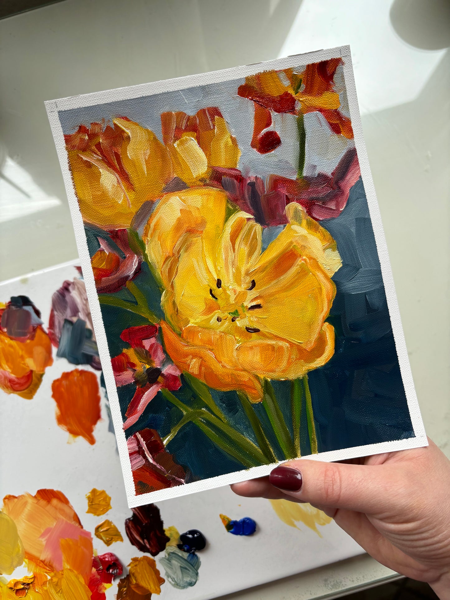 Tulips in the spring