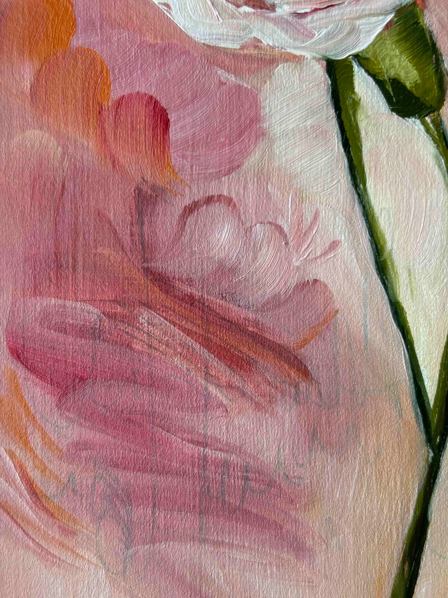 Day 14 - Daily Painting Challenge - Carnation