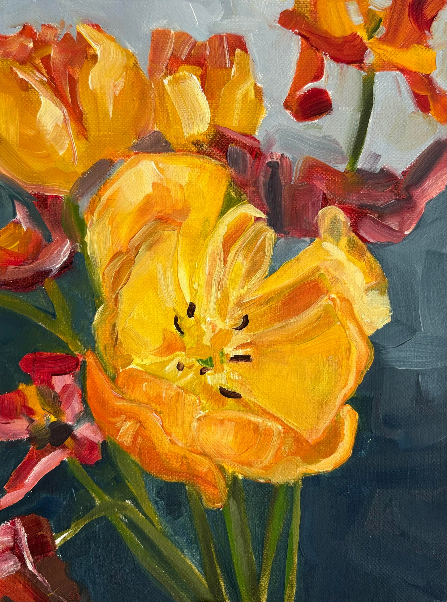 Tulips in the spring