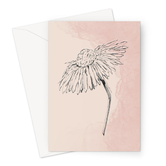 Echinacea Illustration Greeting Card