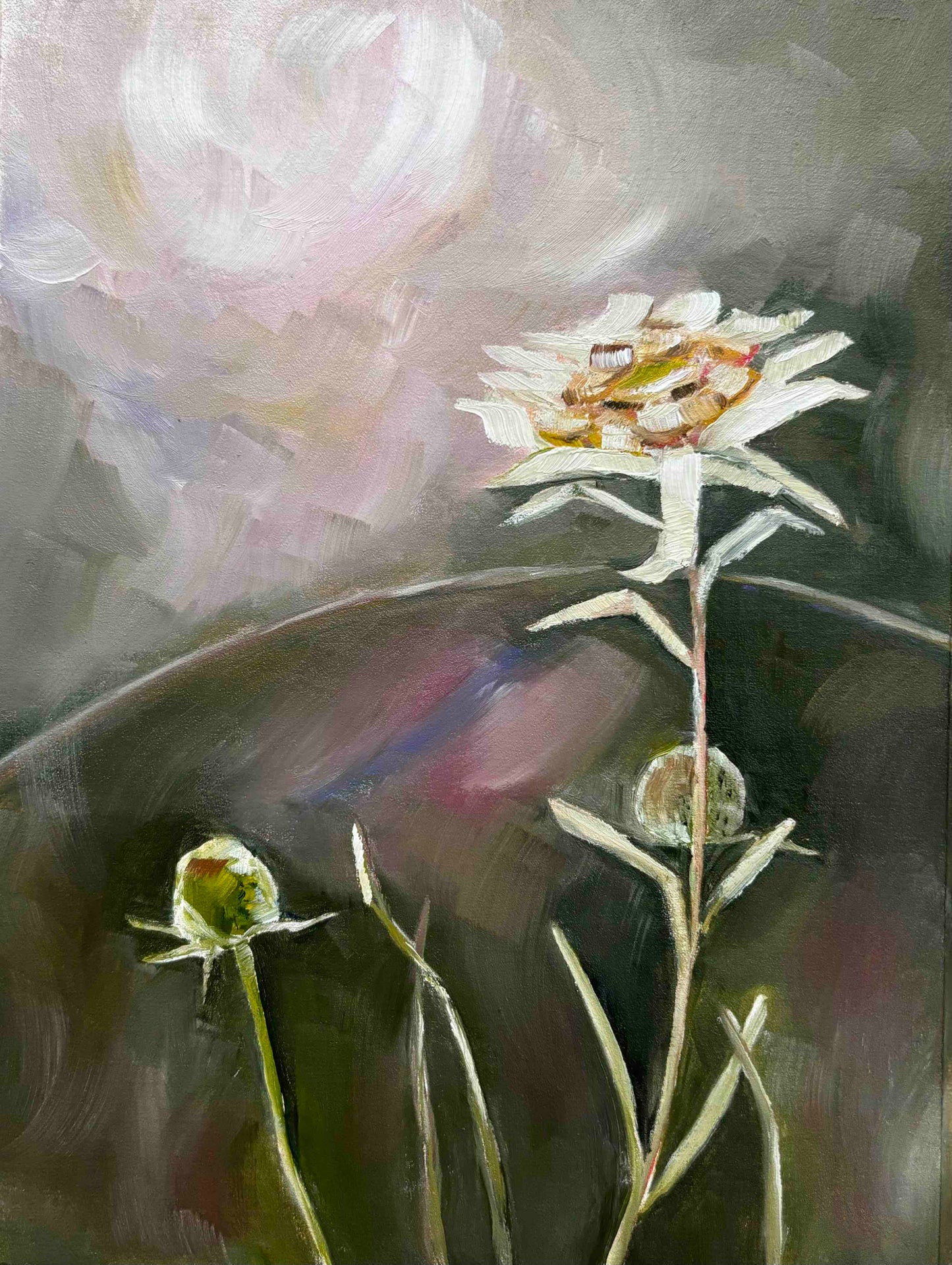 Day 7 - Daily Painting Challenge - Edelweiss