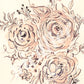 Flower Illustration | Watercolor Sketch | Digital Print