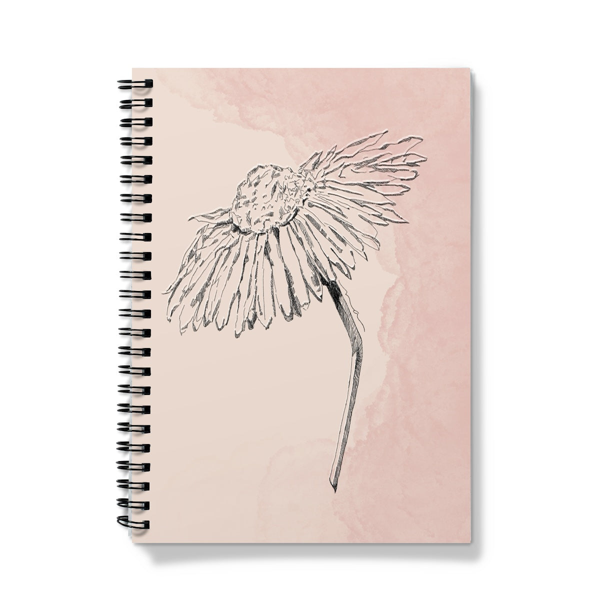 Echinacea Illustration Notebook